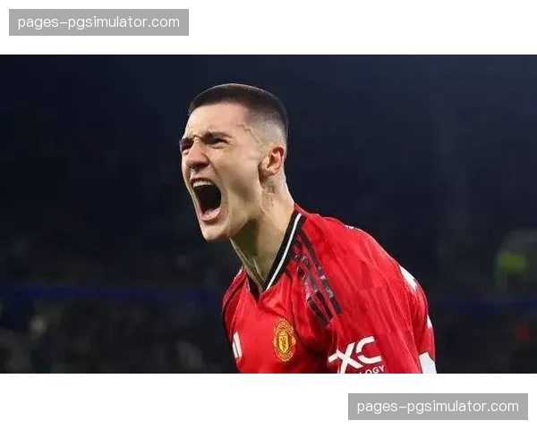 曼联双锋退出国家队集训，姆贝莫与谢什科专注伤情恢复